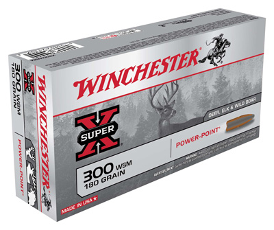 WIN SPRX PWR PNT 300WSM 180GR 20/200 - for sale